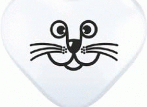 cat face