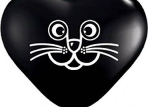 cat face black